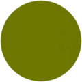 hg 645 سبز زیتونی